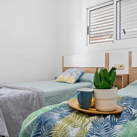 Apartmán Alea - Bell Raco